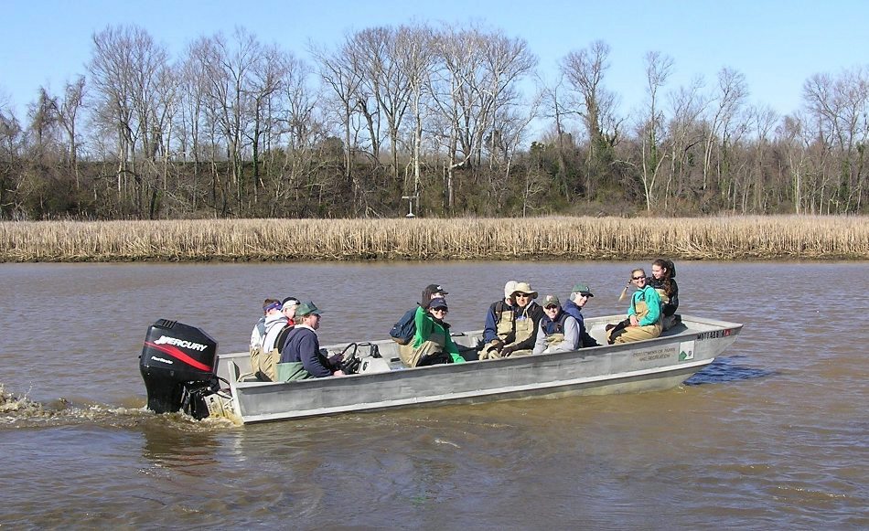 Group heading upstream on the Jon boat