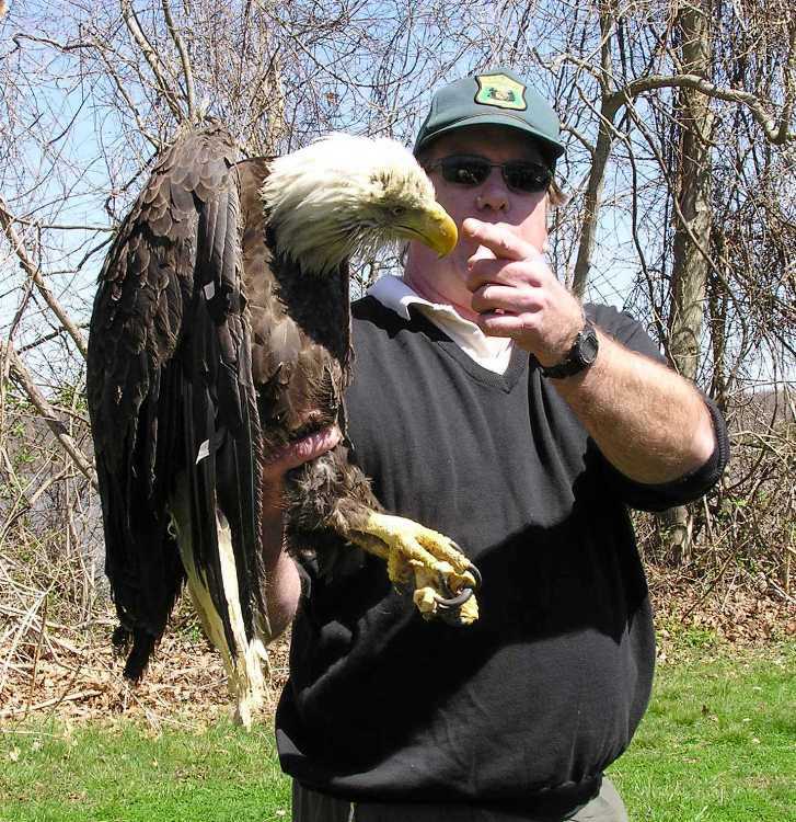 Greg pointing to the beak