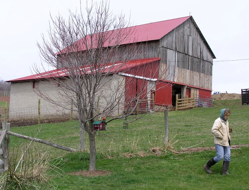 Norma walking downhill with barn in background