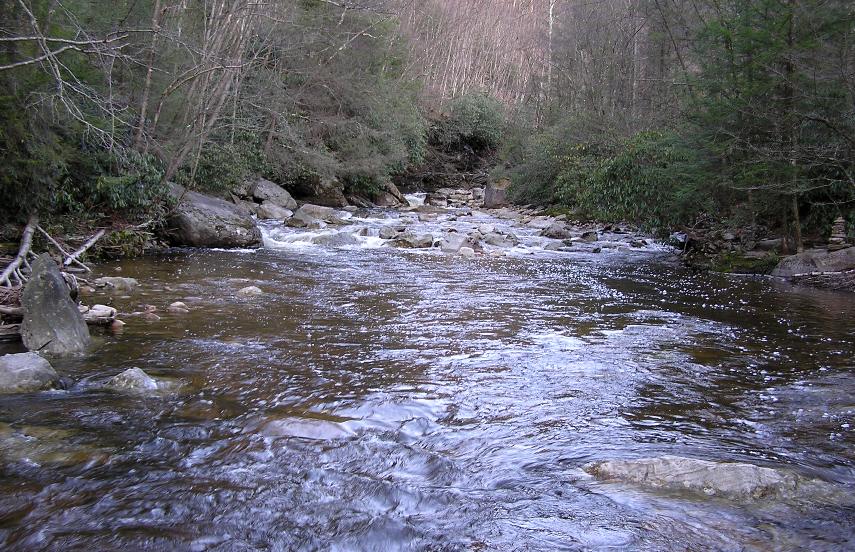 An upstream view of Otter Creek