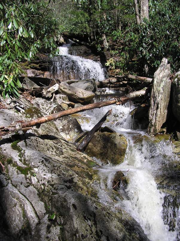 A small waterfall flowing between rocks