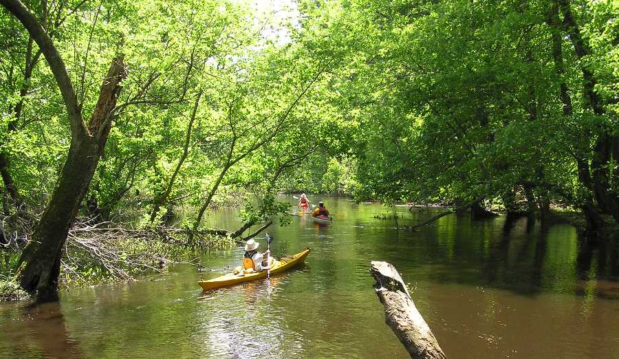 Kayakers paddling downstream