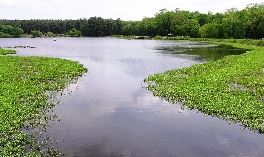 Wide water on Tuckahoe Lake