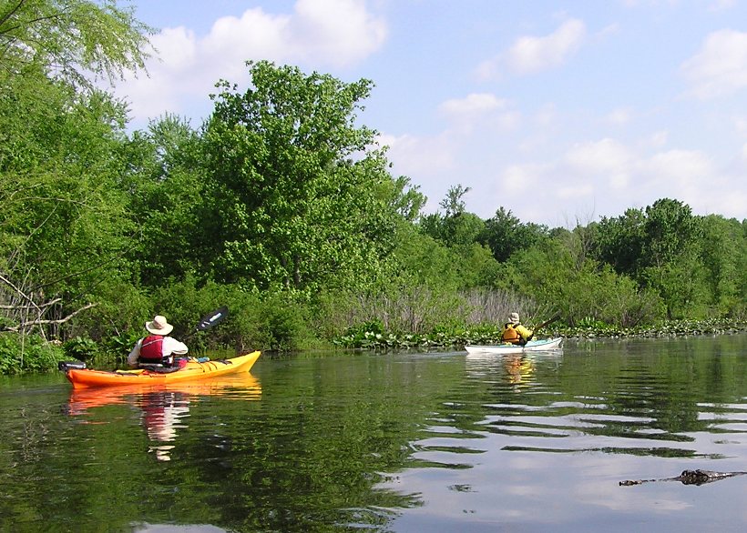 Two kayaks heading upstream