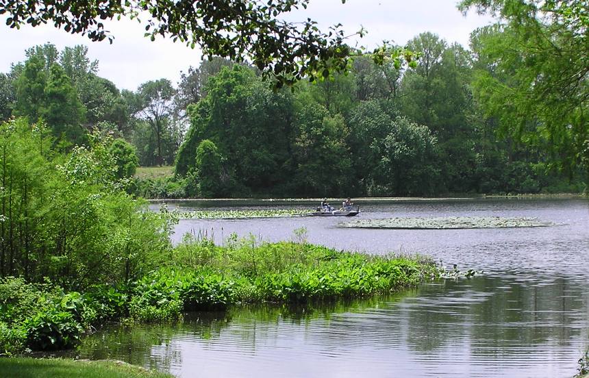 Small boat on Records Pond