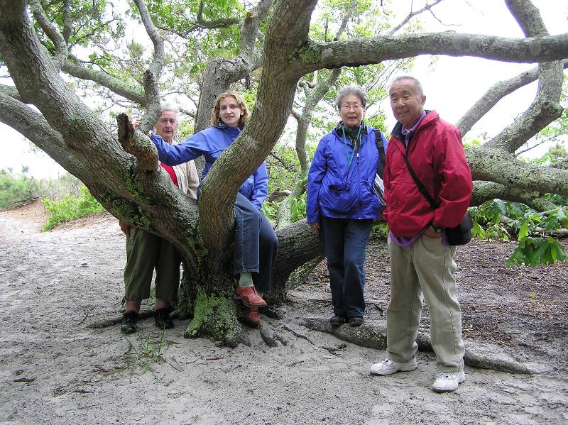 Hazel, Norma, Mom, and Dad around a wide-spreading tree