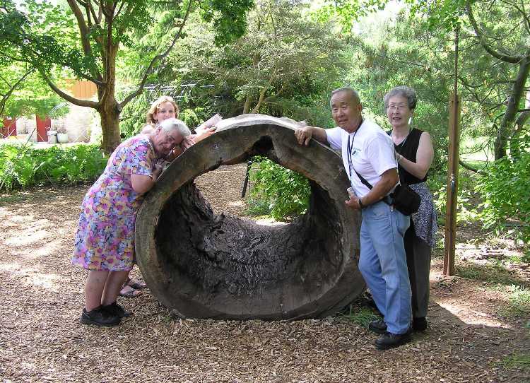 Norma, Hazel, Dad, and Mom around the hollow tree