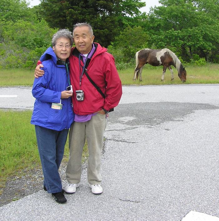 My parents with an Assateague pony in the background