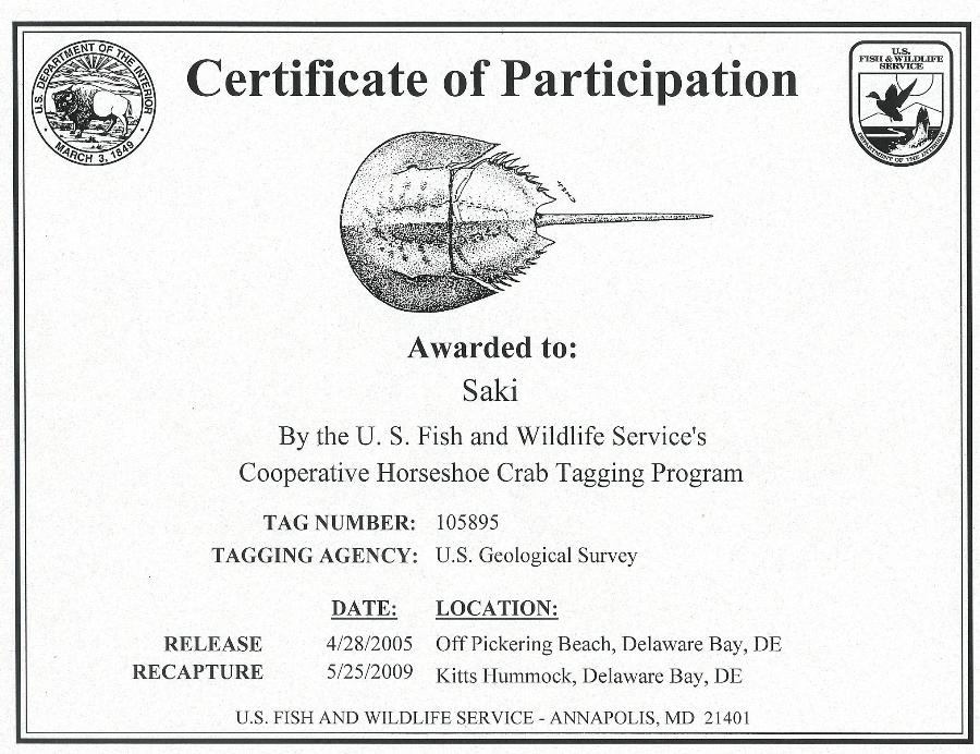 Certificate of Partication for reporting horseshoe crab 105895