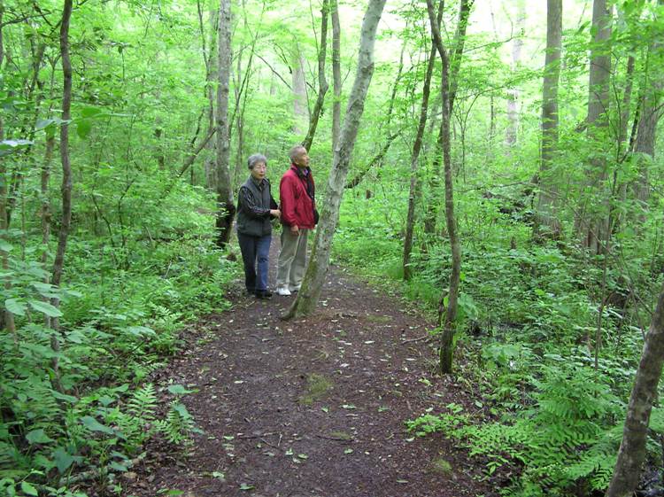 Mom and Dad on the wooded Trail of Change