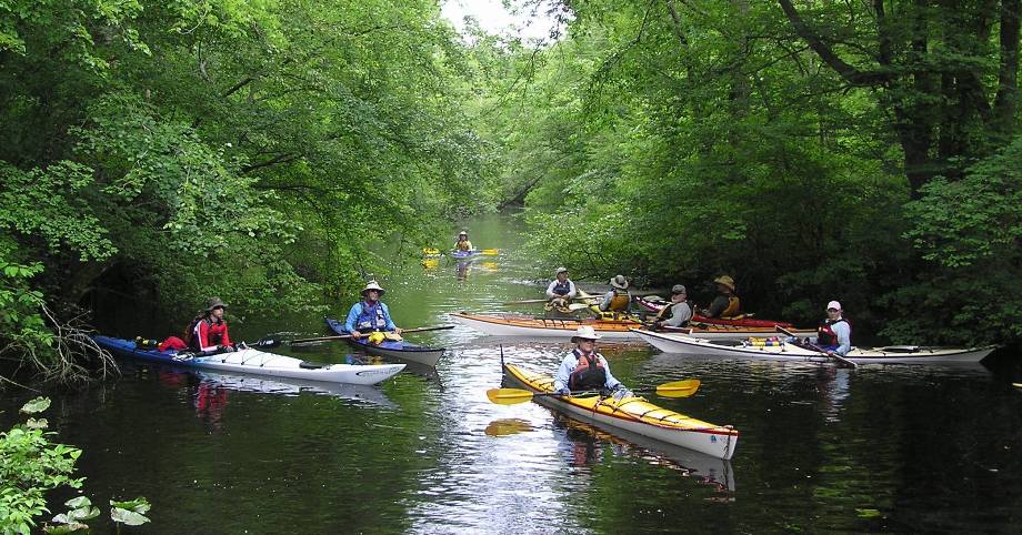 Group of kayakers