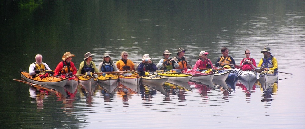 Kayakers in tight row