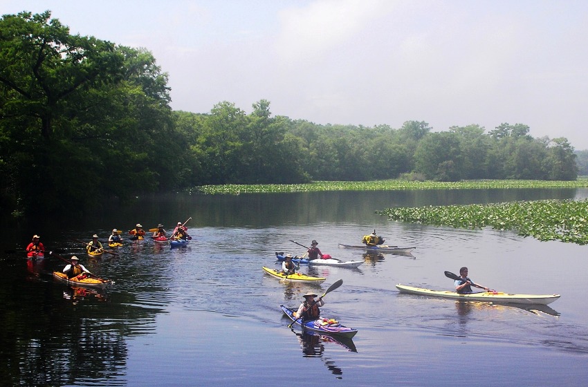 Group kayaking