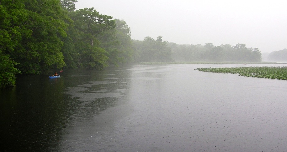 Dr. Paul paddling in downpour