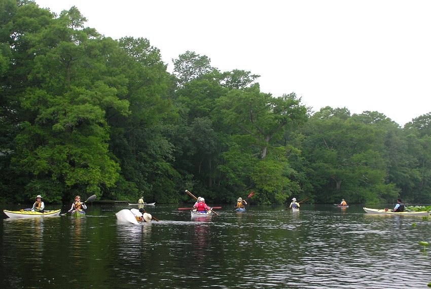 Kayakers waiting with one person upside down in their boat