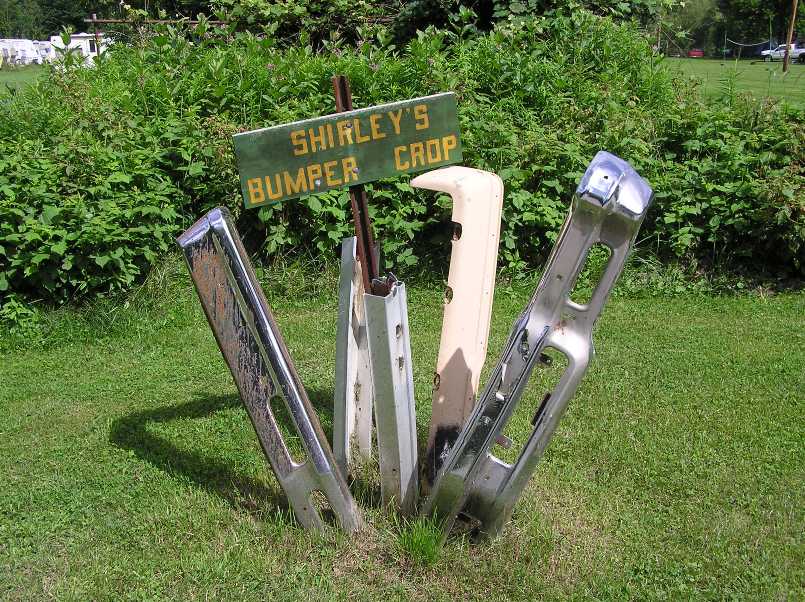 Car bumpers sticking out of the ground with a sign reading 'Shirley's bumper crop'