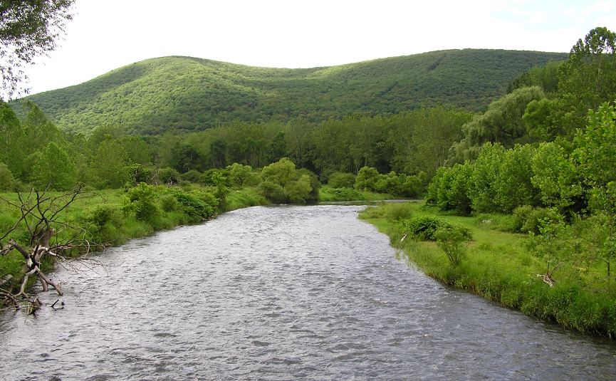 Fast flowing wide Pine Creek