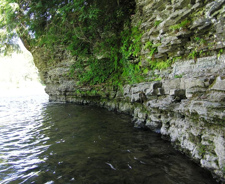 Rocky, vertical edge near the water that drops off to deep area