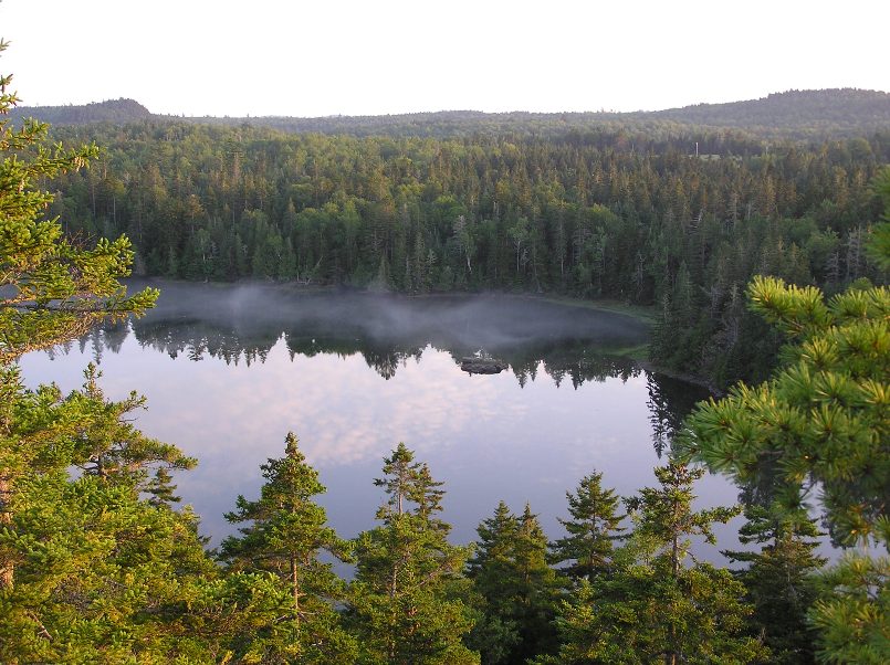 Body of water with haze, surrounded by trees