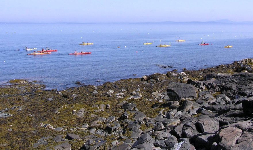 Group of kayakers paddling on flat water