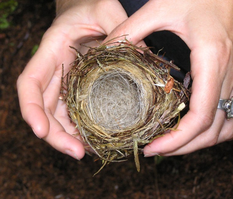 Norma holding a small bird's nest