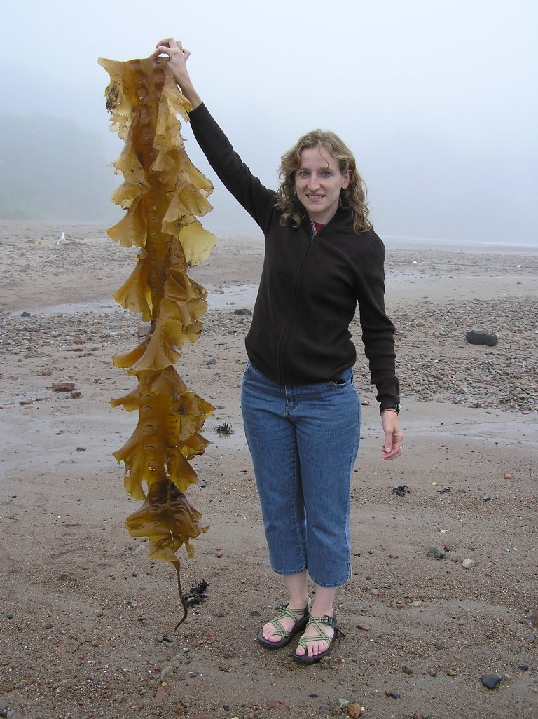 Norma standing holding a long piece of seaweed