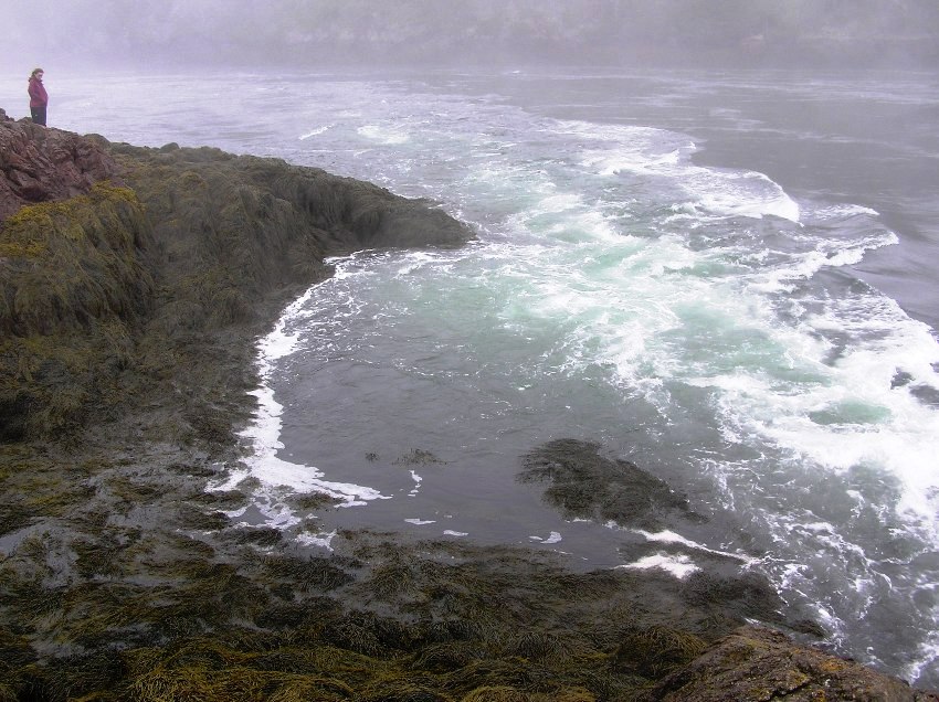 Norma standing on high point with reversing falls below