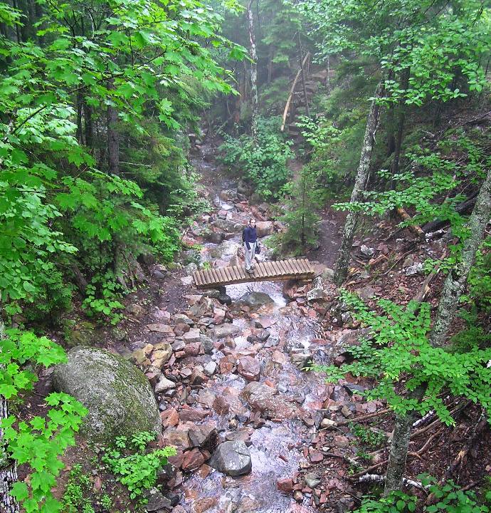 Norma on wooden bridge over rocky, wet terrain