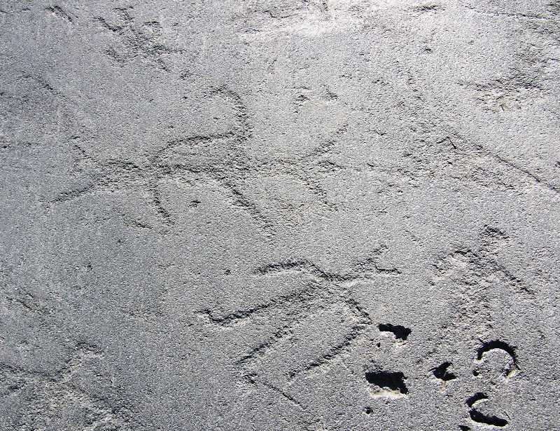 Petroglyph of an animal figure (maybe a dolphin?) and a human