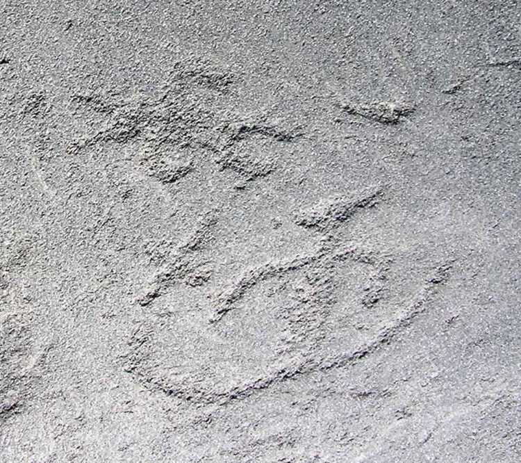 Petroglyph of possibly a person in a canoe