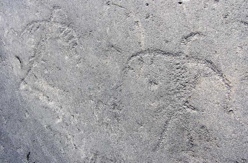 Petroglyph of thunderbird spirits