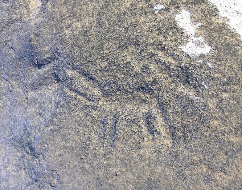 Petroglyph resembling a deer