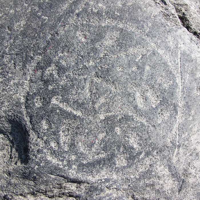 One pamphlet calls this petroglyph a composite design comprised of a circle enclosing dots, animal, bird, and human tracks