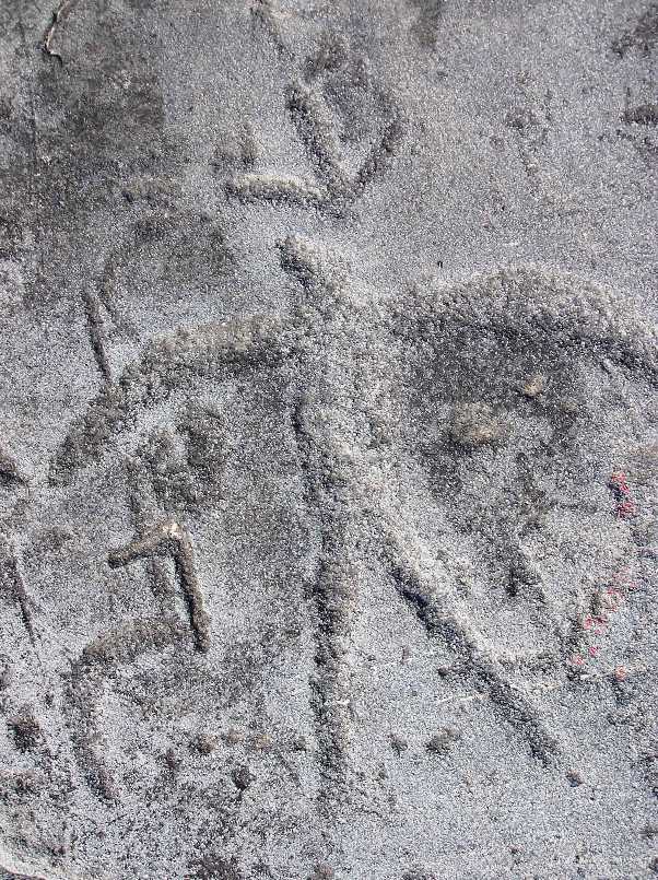 Petroglyph of a thunderbird spirit