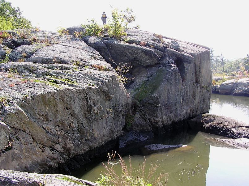 Norma facing away on a big boulder