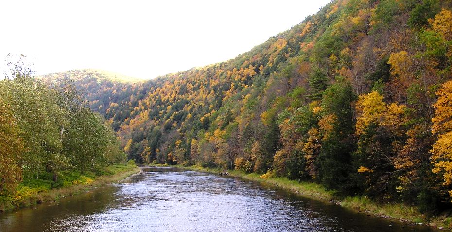 Fall foliage by the water