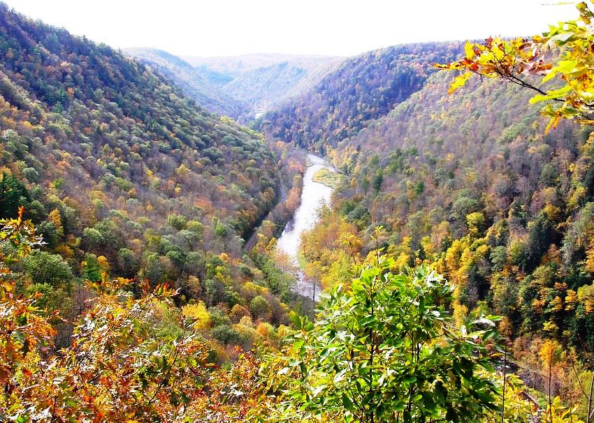 View of creek from Otter View