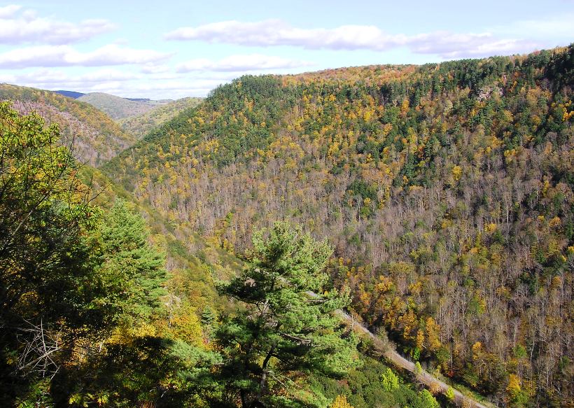 Looking north in the canyon