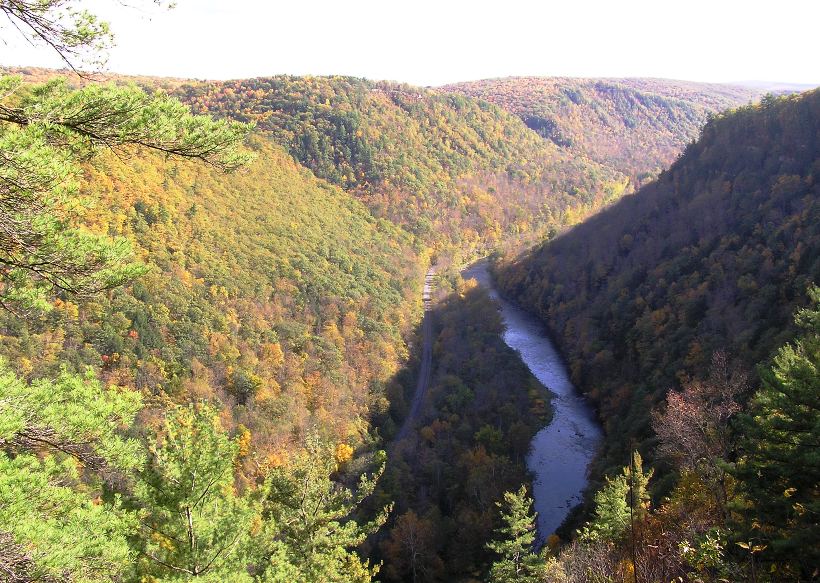 Looking south in the canyon