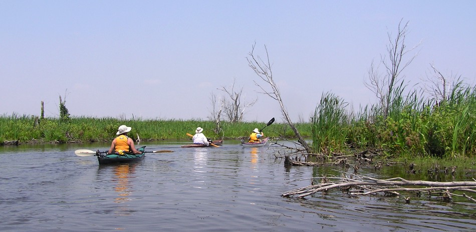 Amy and other kayakers on section of creek with fewer trees