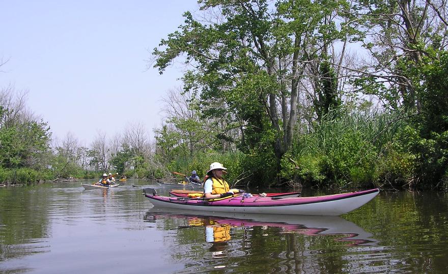 Marilyn kayaking in the front with dead trees in the background on the left