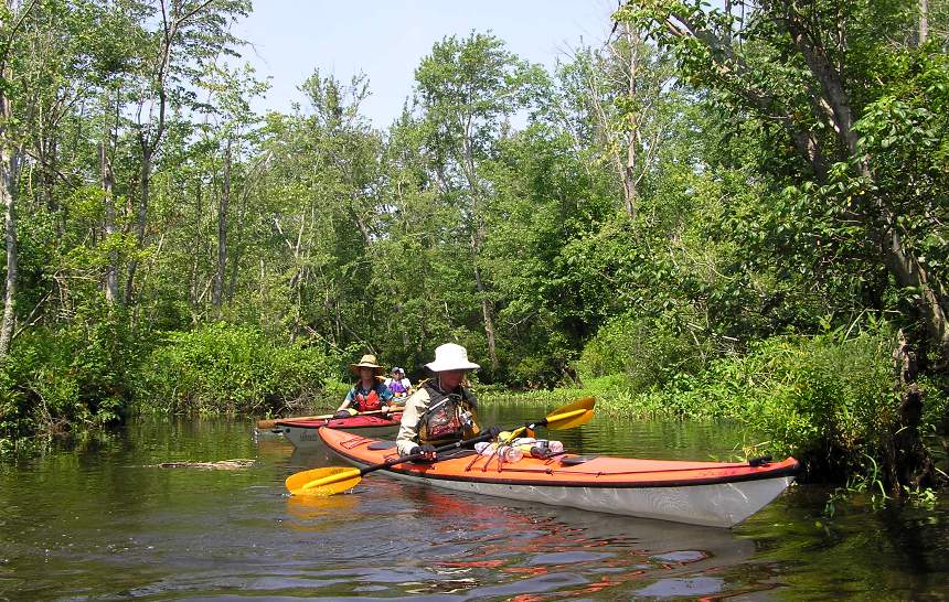 Kayakers in narrow part of creek