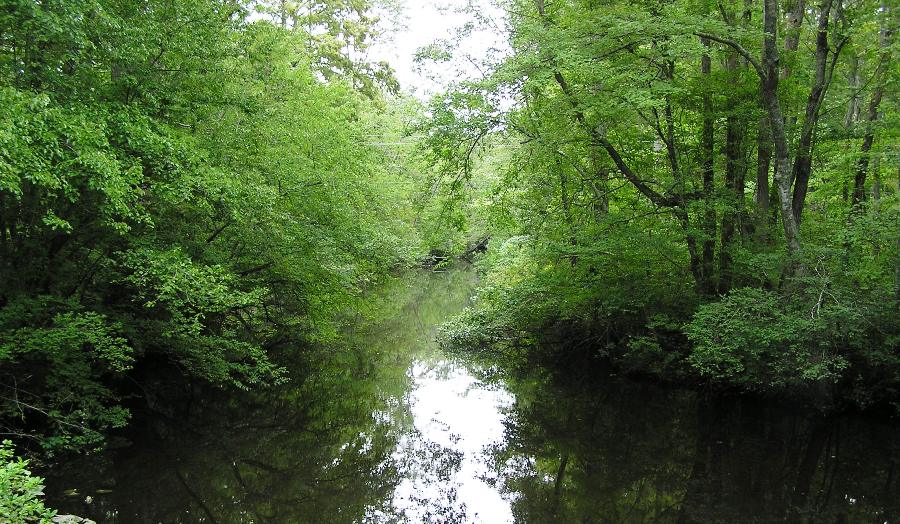 View looking down on Dividing Creek from bridge