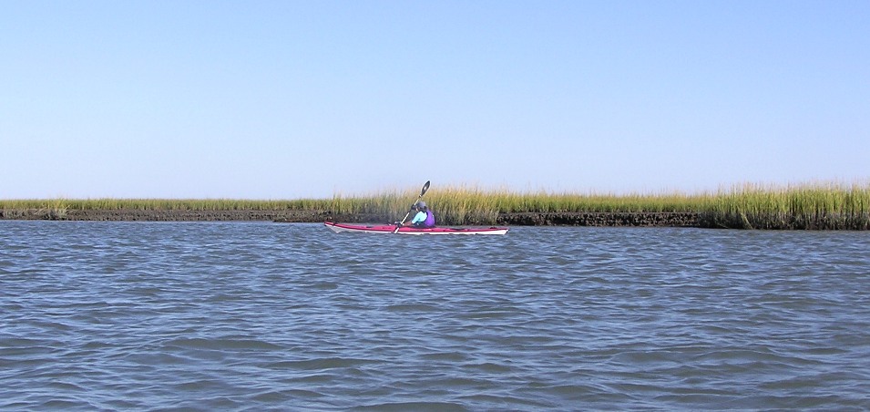 Aht paddling with salt marsh behind