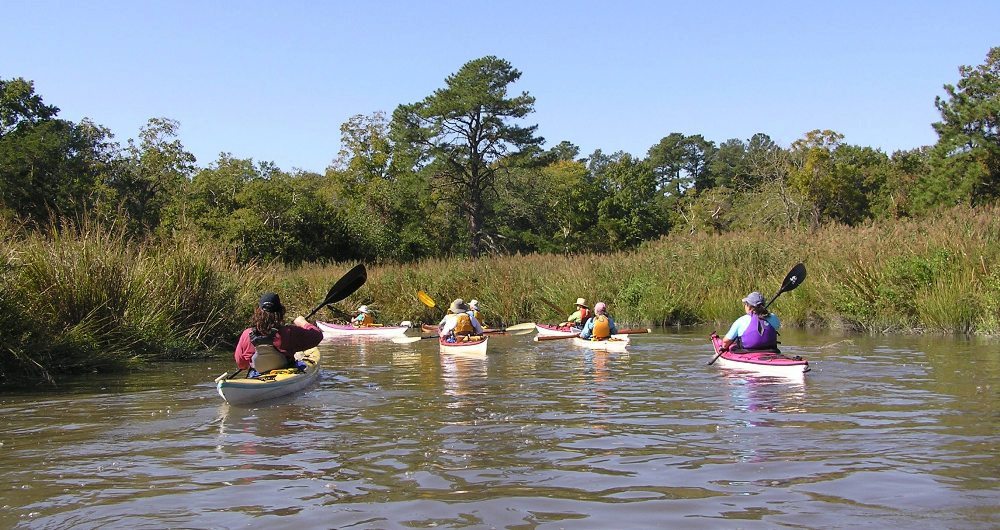 Back view of kayakers heading downstream with lots of greenery on the shore