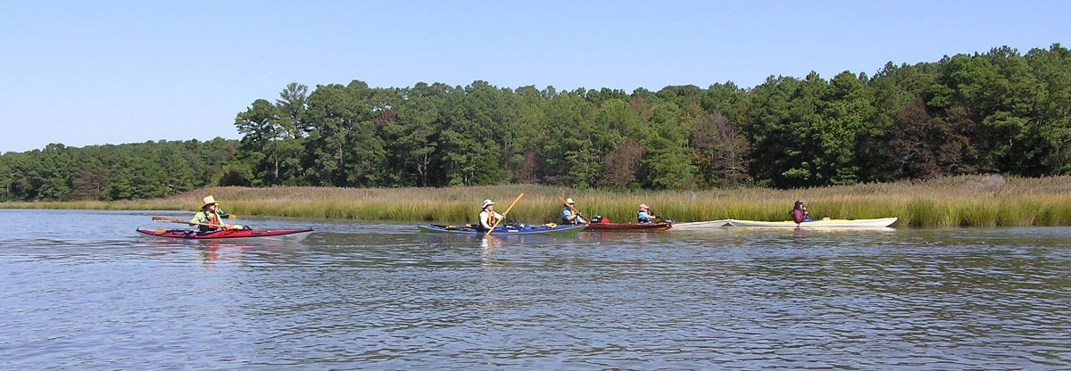 Starboard side view of kayakers paddling downstream