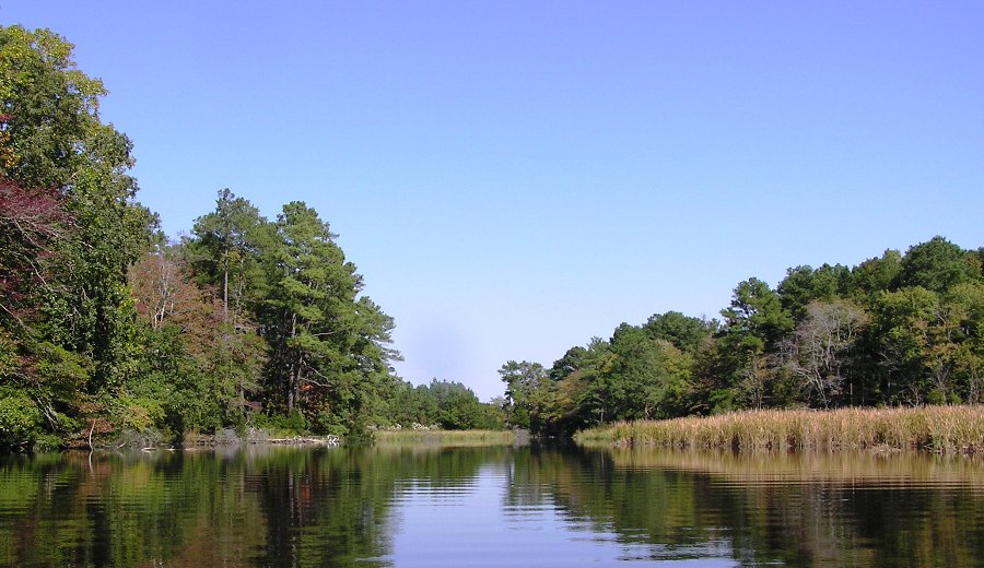 Natural section of Little Mosquito Creek