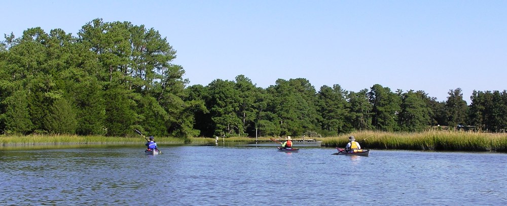 Kayakers paddling upstream