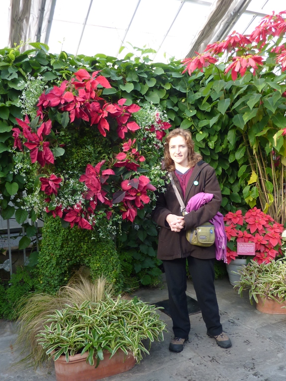 Norma with poinsettia flowers