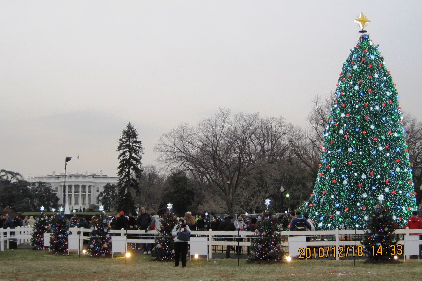 Lit up Christmas tree and White House